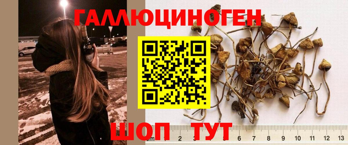 Галлюциногенные грибы Magic Shrooms Самара